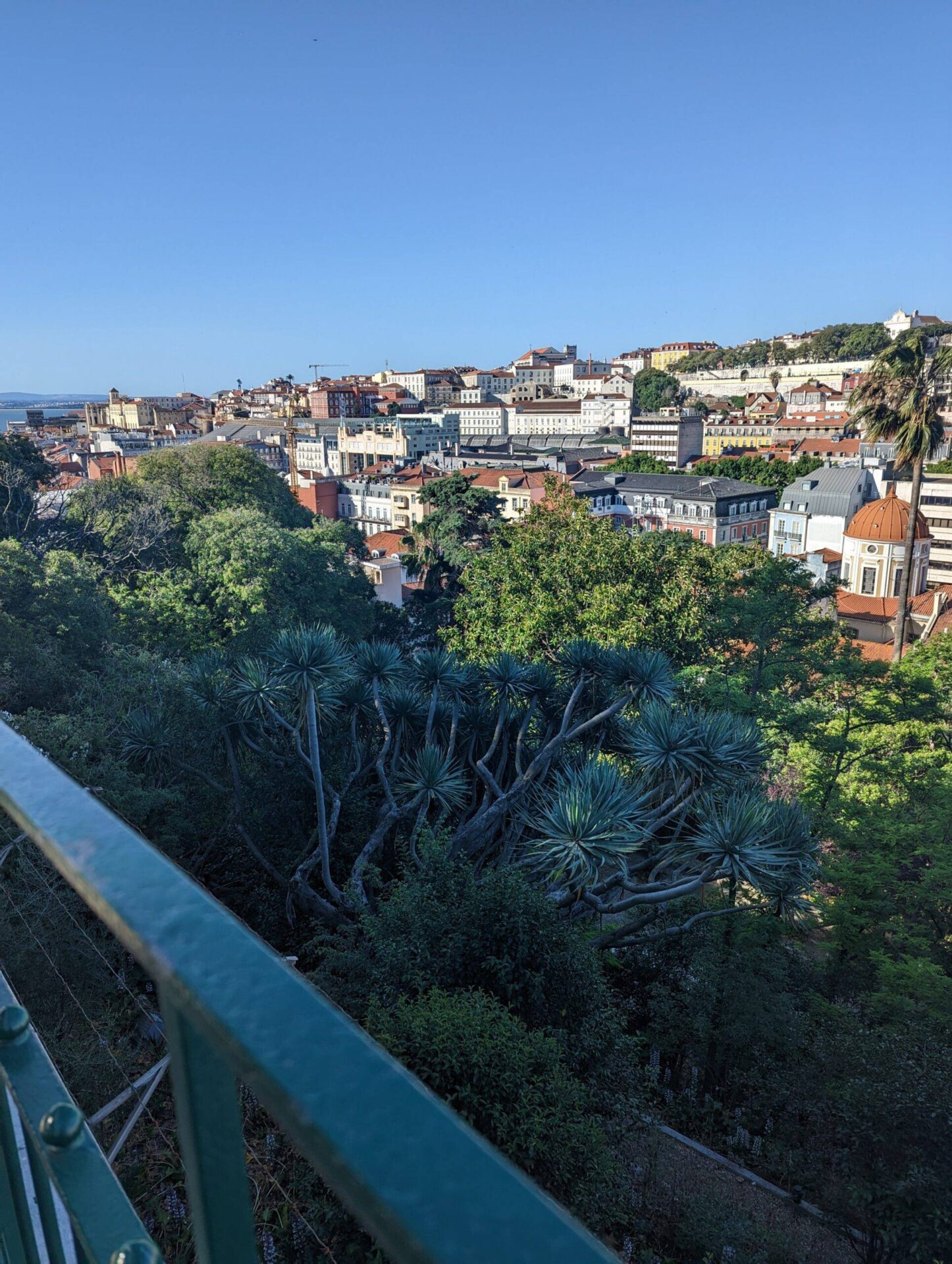 Miradouro Jardim do Torrel