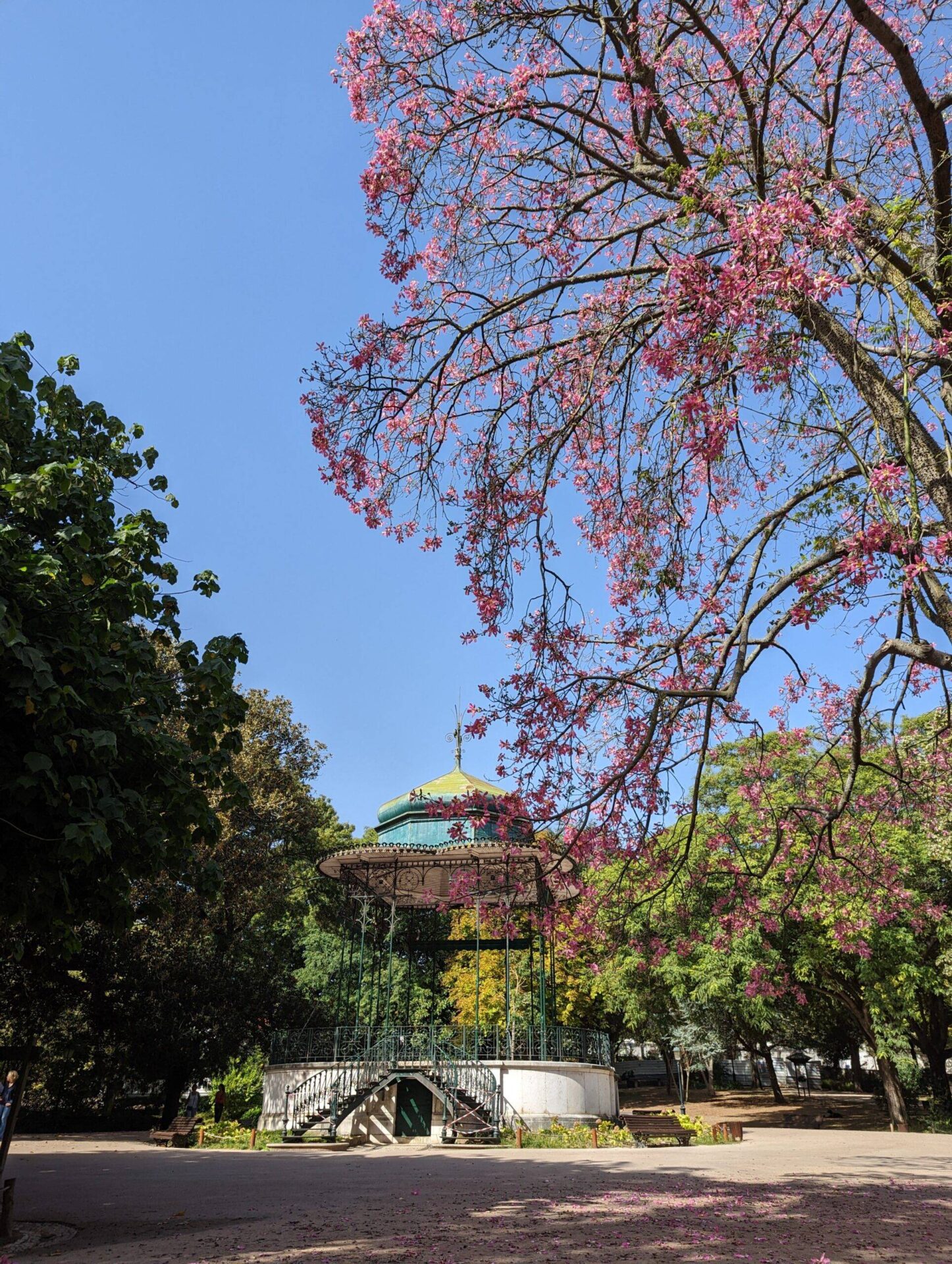 Jardim da Estrela
