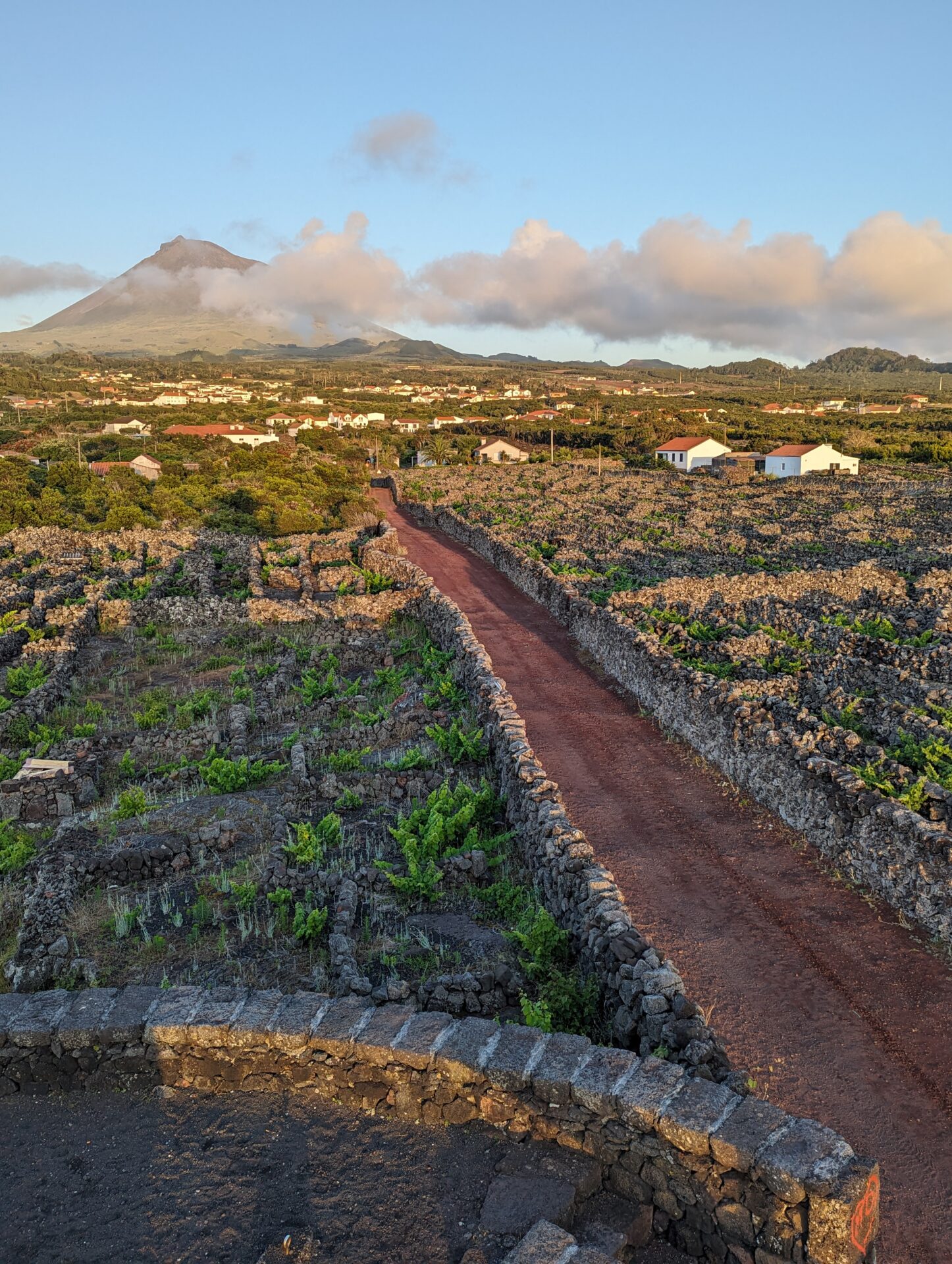 Pico Azoren