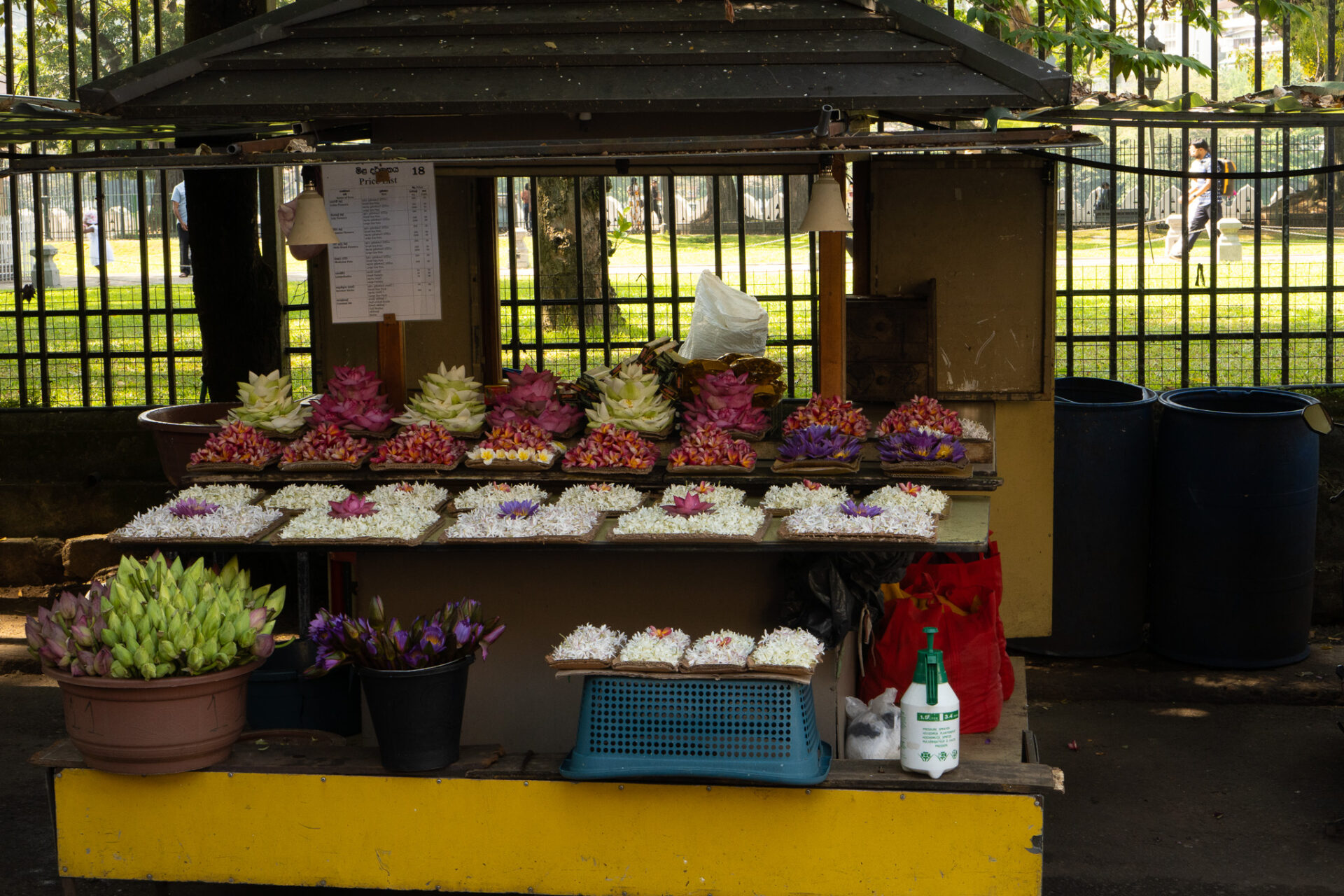 Kandy Sri Lanka