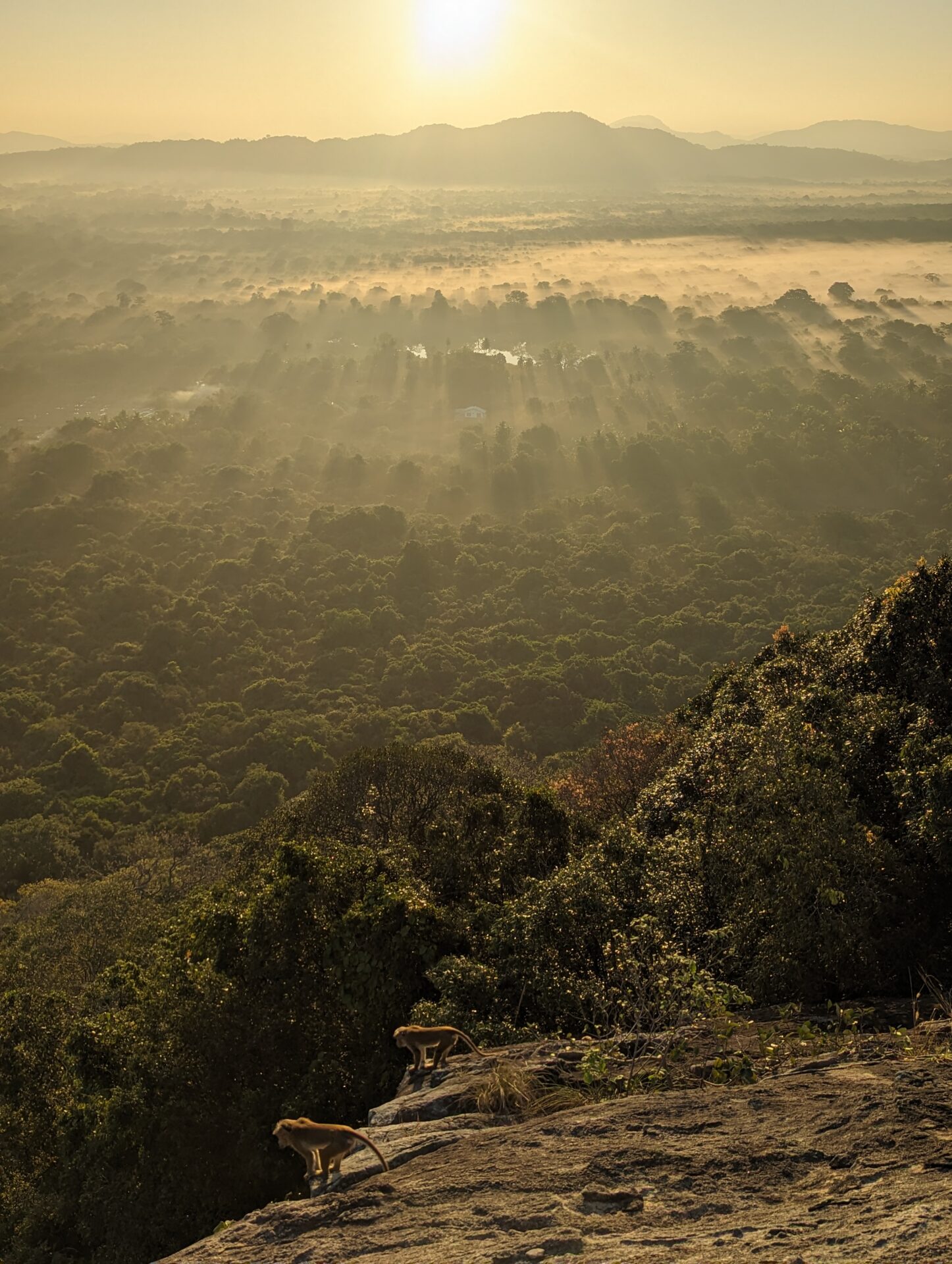 Sigiriya Sri Lanka